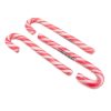 Watermelon Candy Cane